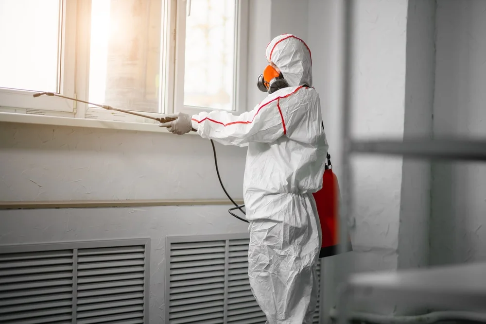 Professional mold remediation services in Ivins, UT